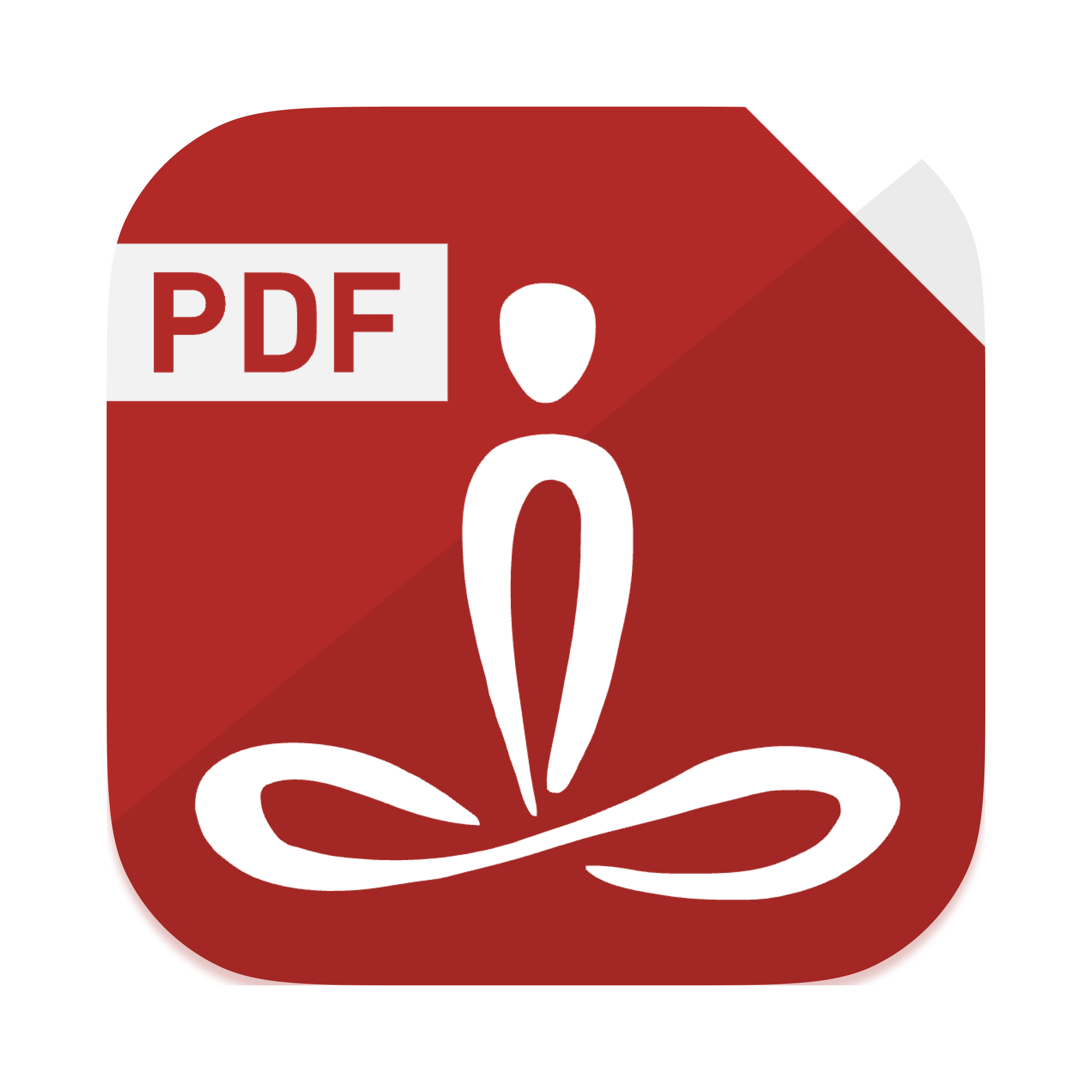 PDF Auditor icon