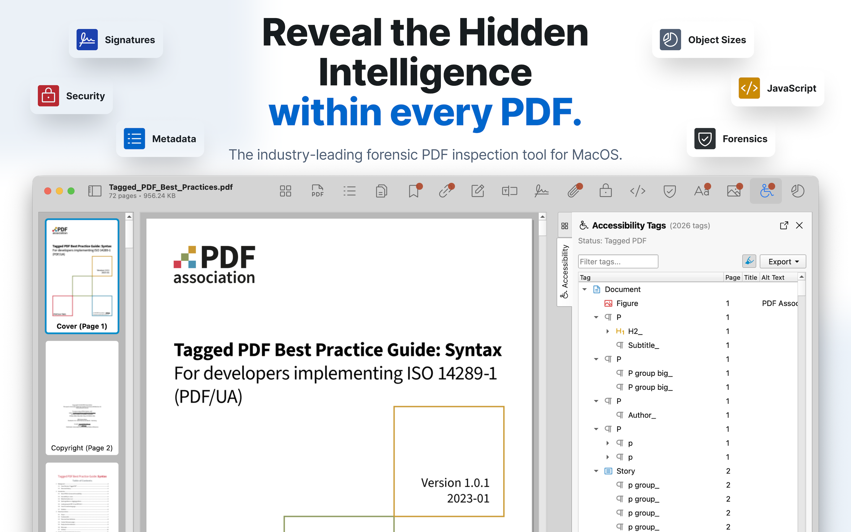 Accessibility tags viewer showing PDF structure tree with tag attributes